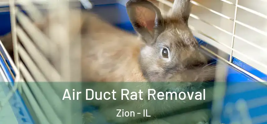  Air Duct Rat Removal Zion - IL