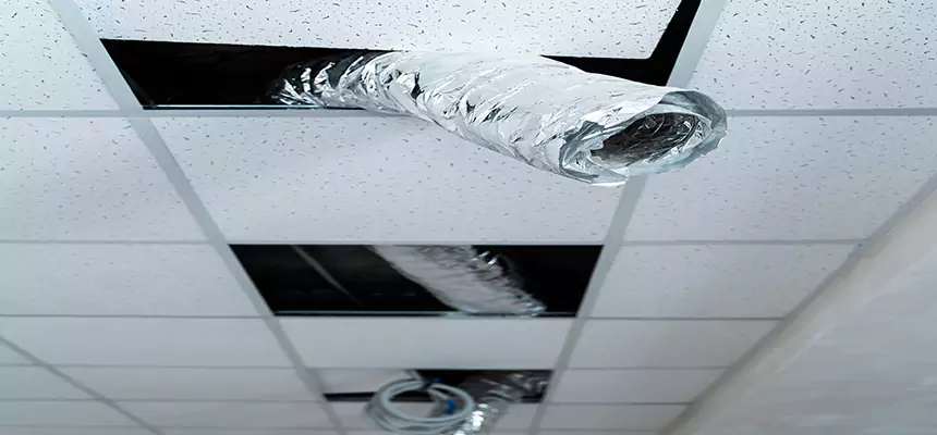 Affordable HVAC Sanitizing After Pest Removal in Zion