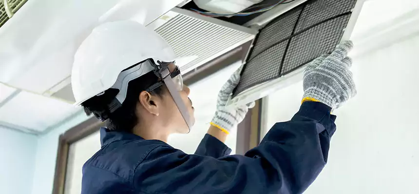 Our Mold & Mildew Removal from Air Ducts Services in Zion, IL