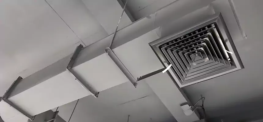 Our Pest Removal From Ducts Services in Zion, IL