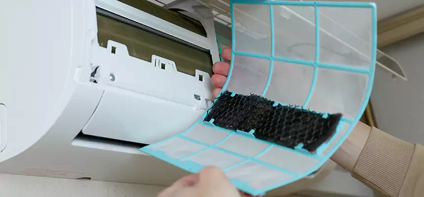 Gentle Ductwork Odor-Control Pet Dander Duct Cleaning in Zion, IL