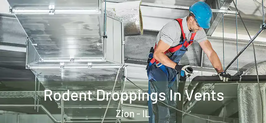  Rodent Droppings In Vents Zion - IL