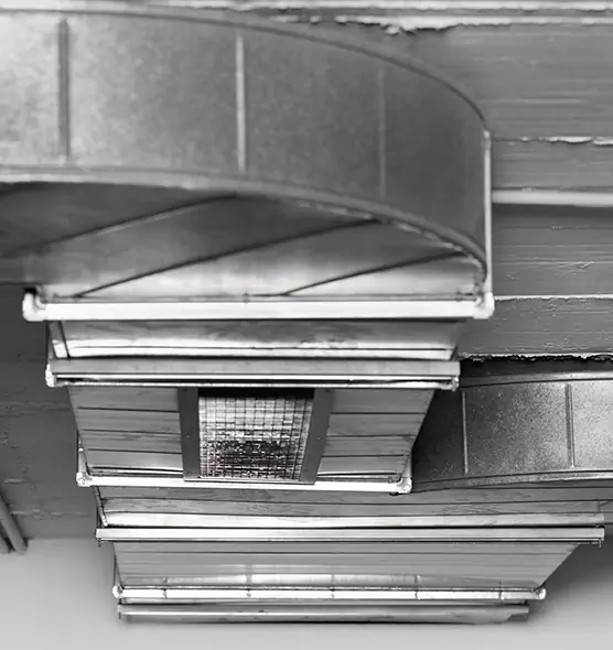 Professional Air Duct Pest Removal in Zion, IL