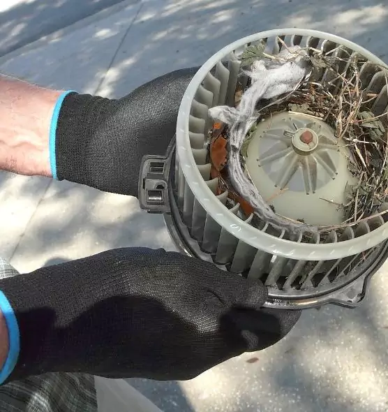 About Air Duct Rat Removal in Zion, IL