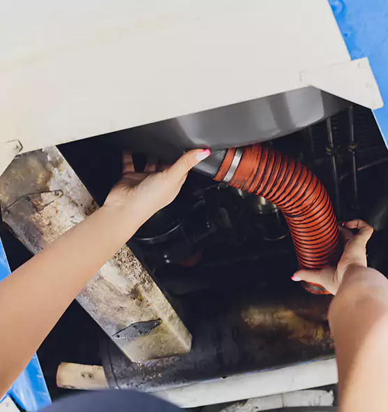 About Air Duct Virus Disinfection in Zion, IL