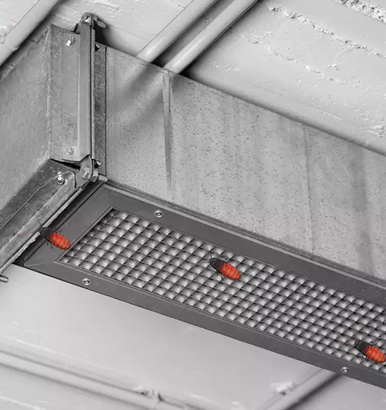 Affordable Insect Removal from Air Ducts in Zion, IL