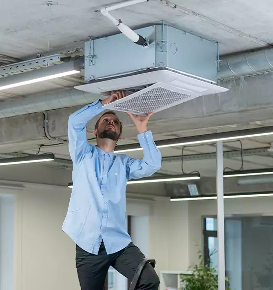 Advanced Rodent Droppings In Vents in Zion, IL
