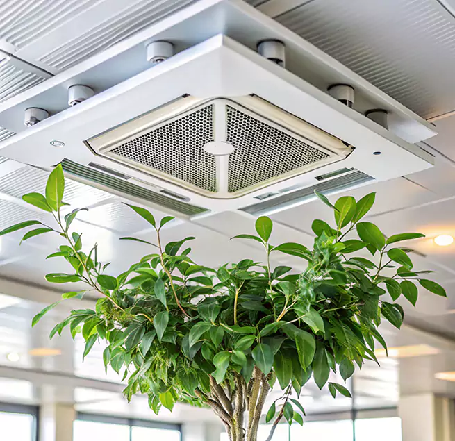 Why Homeowners & Businesses Trust Us in Zion, IL