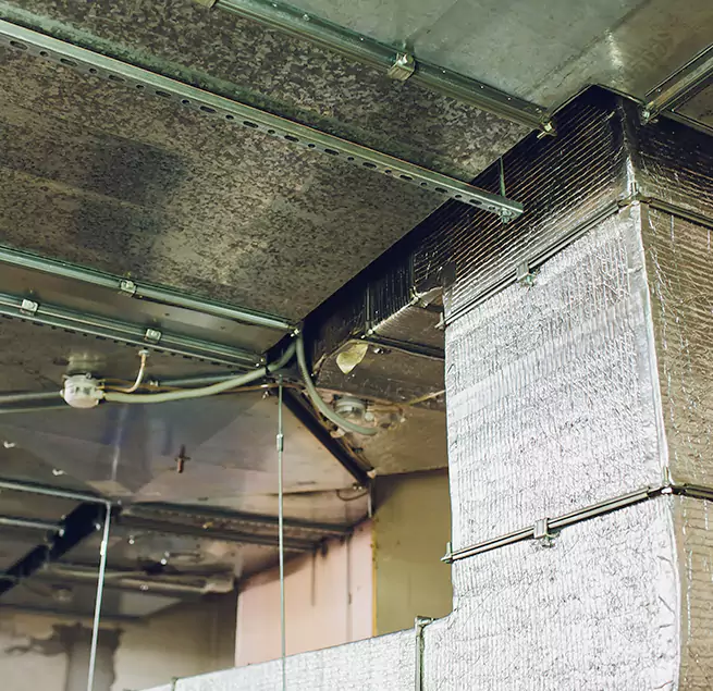 Why Homeowners & Businesses Trust Us in Zion, IL?